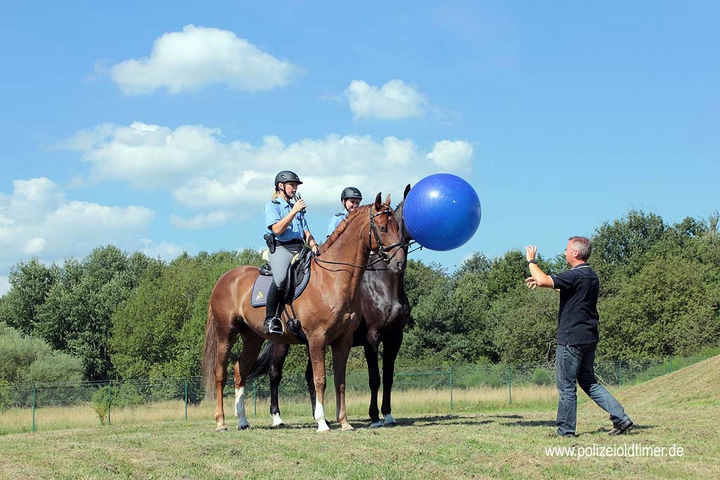 Sommerfest-Polizeioldtimer-Museum_2012 (64).jpg